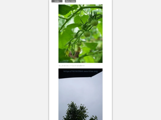 2024/hadaikon2024may28 screenshot
