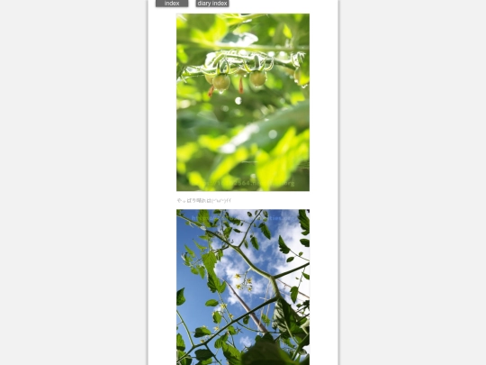 2024/hadaikon2024may29 screenshot