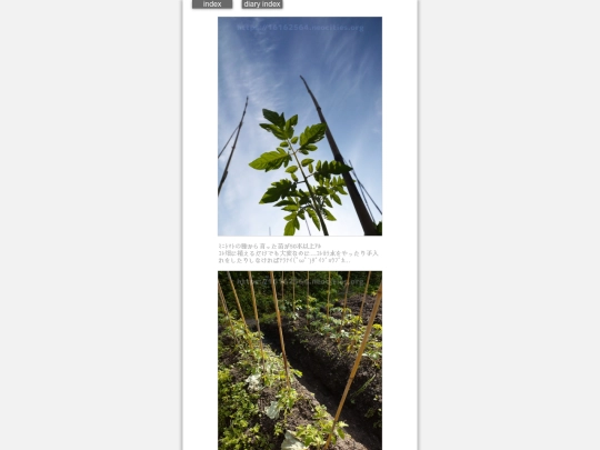 2024/hadaikon2024may3 screenshot
