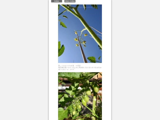2024/hadaikon2024may30 screenshot