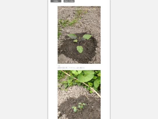 2024/hadaikon2024may6 screenshot