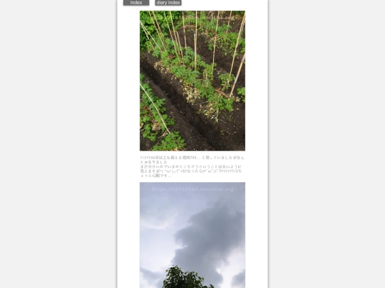 2024/hadaikon2024may7 screenshot