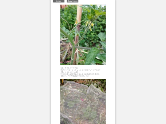 2024/hadaikon2024may8 screenshot