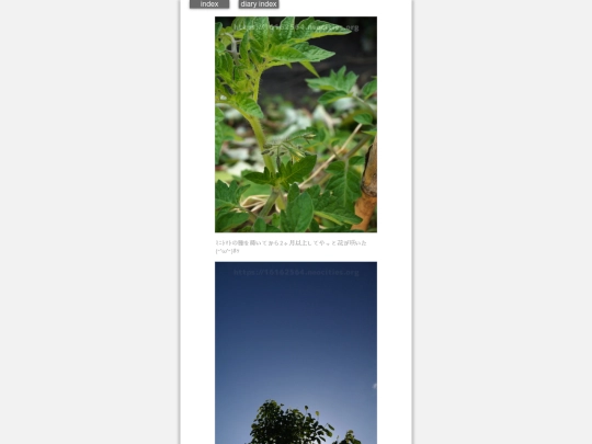 2024/hadaikon2024may9 screenshot