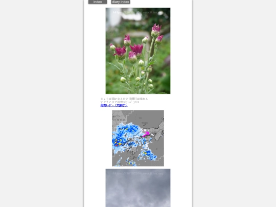 2024/hadaikon2024nov1 screenshot