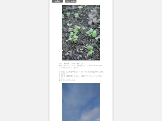 2024/hadaikon2024nov21 screenshot
