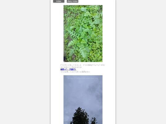 2024/hadaikon2024nov27 screenshot