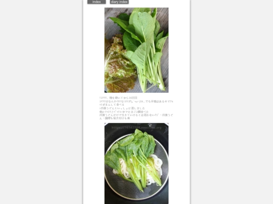 2024/hadaikon2024nov5 screenshot