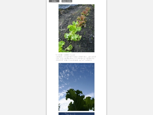 2024/hadaikon2024oct10 screenshot