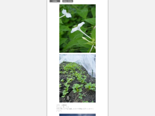 2024/hadaikon2024oct11 screenshot