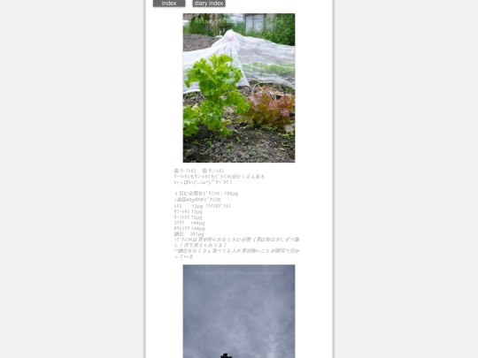 2024/hadaikon2024oct16 screenshot