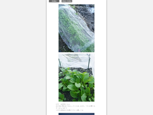 2024/hadaikon2024oct17 screenshot