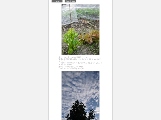 2024/hadaikon2024oct18 screenshot