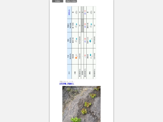 2024/hadaikon2024oct2 screenshot