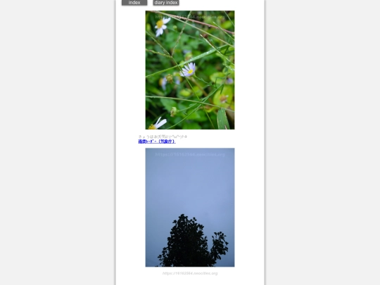 2024/hadaikon2024oct23 screenshot