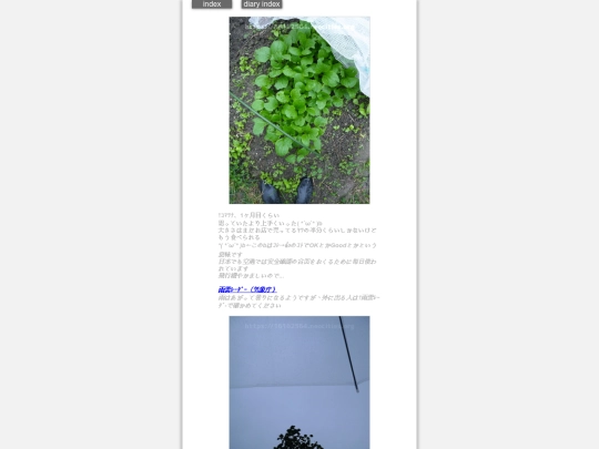 2024/hadaikon2024oct28 screenshot
