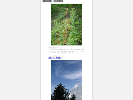 2024/hadaikon2024oct30 screenshot