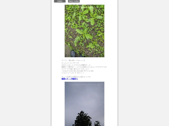 2024/hadaikon2024oct31 screenshot