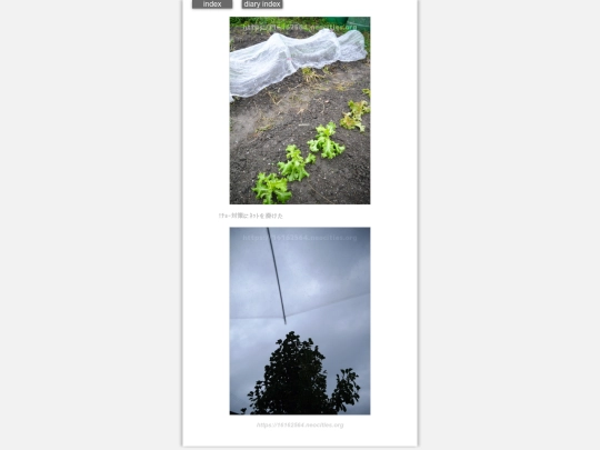 2024/hadaikon2024oct4 screenshot