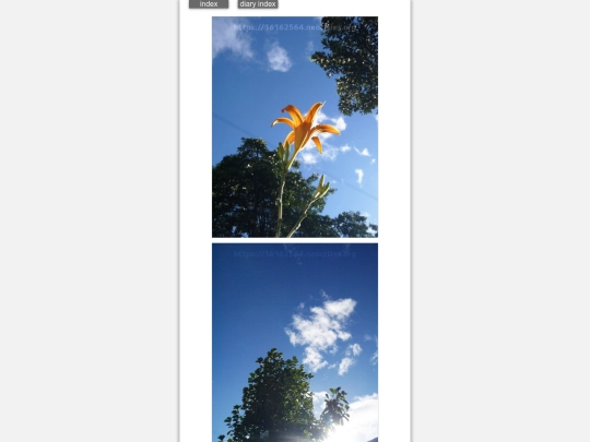 2024/hadaikon2024sep10 screenshot
