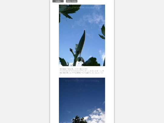 2024/hadaikon2024sep11 screenshot