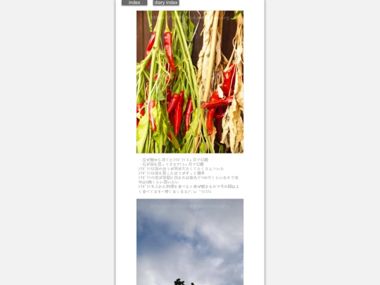 2024/hadaikon2024sep13 screenshot