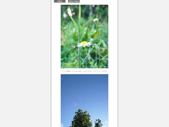 2024/hadaikon2024sep18 screenshot