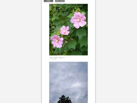 2024/hadaikon2024sep19 screenshot
