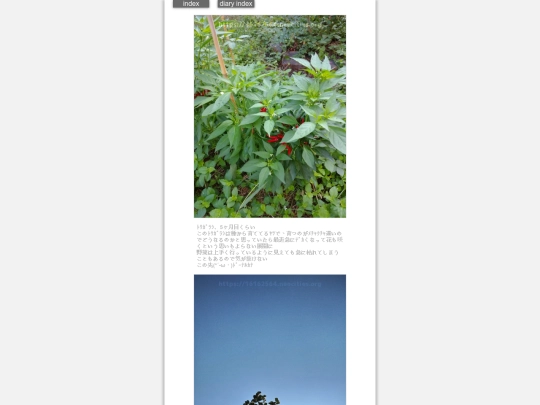 2024/hadaikon2024sep2 screenshot