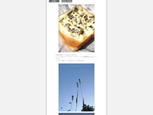 2024/hadaikon2024sep26 screenshot