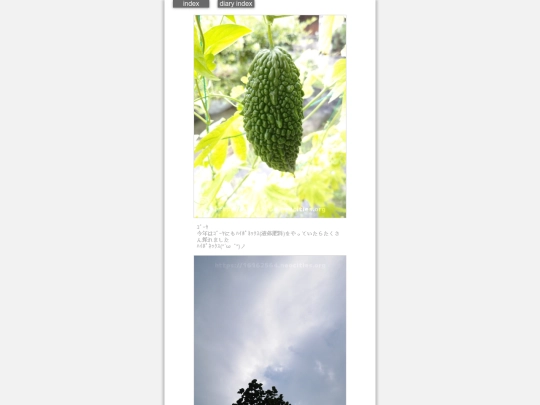2024/hadaikon2024sep3 screenshot