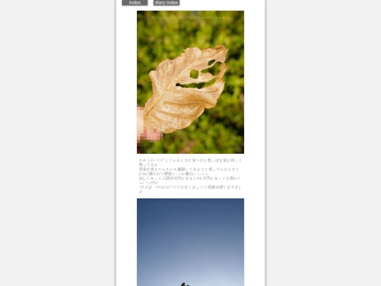 2024/hadaikon2024sep5 screenshot