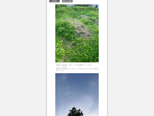 2024/hadaikon2024sep6 screenshot