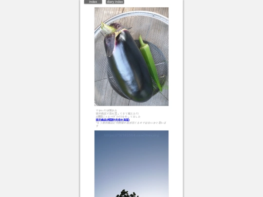 2024/hadaikon2024sep9 screenshot