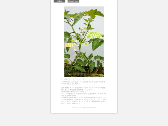 2024/tomatoMe2024may screenshot