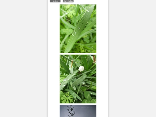 2025/blog2025apr24 screenshot
