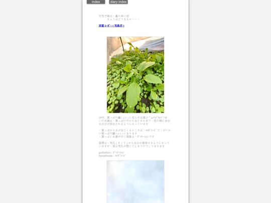 2025/blog2025dec17 screenshot