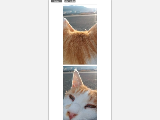2025/blog2025jan19 screenshot
