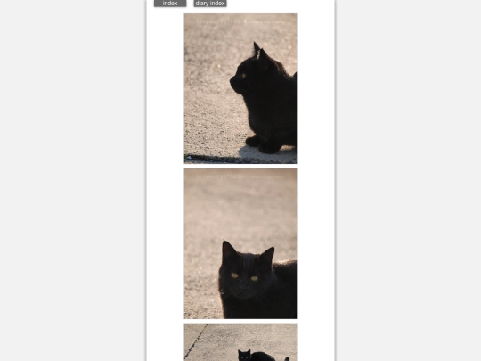 2025/blog2025jan1nn screenshot