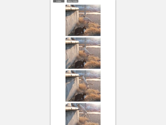 2025/blog2025jan5n screenshot