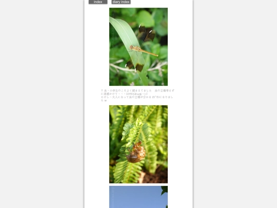 2025/blog2025jul10 screenshot