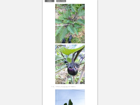 2025/blog2025jul7 screenshot