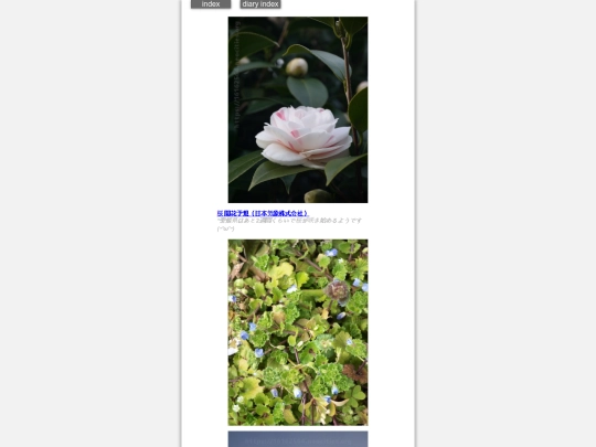 2025/blog2025mar12 screenshot