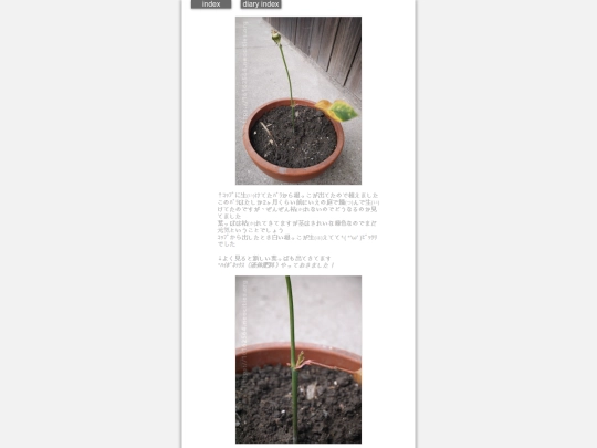 2025/blog2025mar17 screenshot