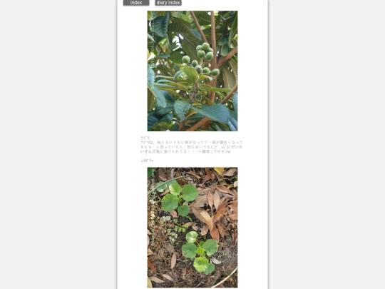 2025/blog2025may15 screenshot