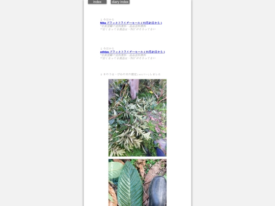 2025/blog2025nov21 screenshot