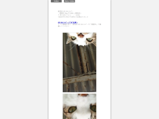 2025/blog2025nov9 screenshot