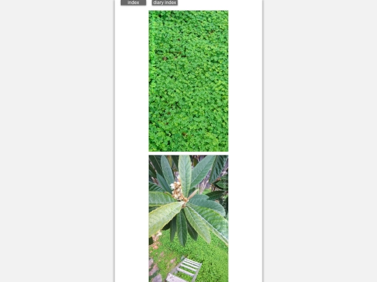 2026/blog2026jan9 screenshot
