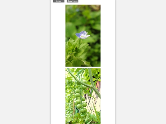 2026/blog2026jun10 screenshot