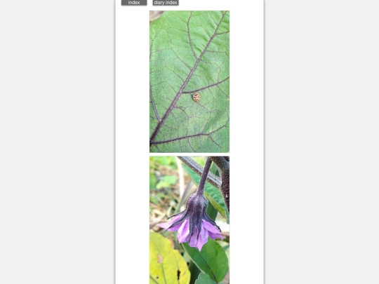 2026/blog2026jun11 screenshot